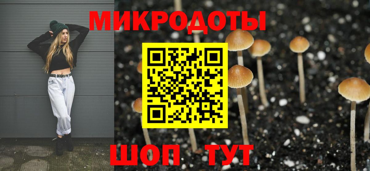 Галлюциногенные грибы MAGIC MUSHROOMS Усолье-Сибирское