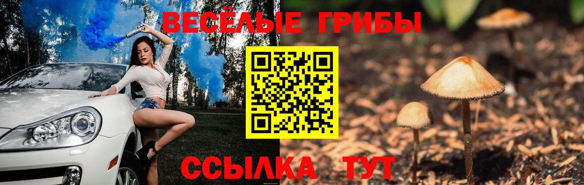 Усолье-Сибирское  Галлюциногенные грибы Magic Shrooms  дарнет шоп  Вход с VPN 